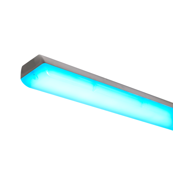 Grandlux Multi-colour