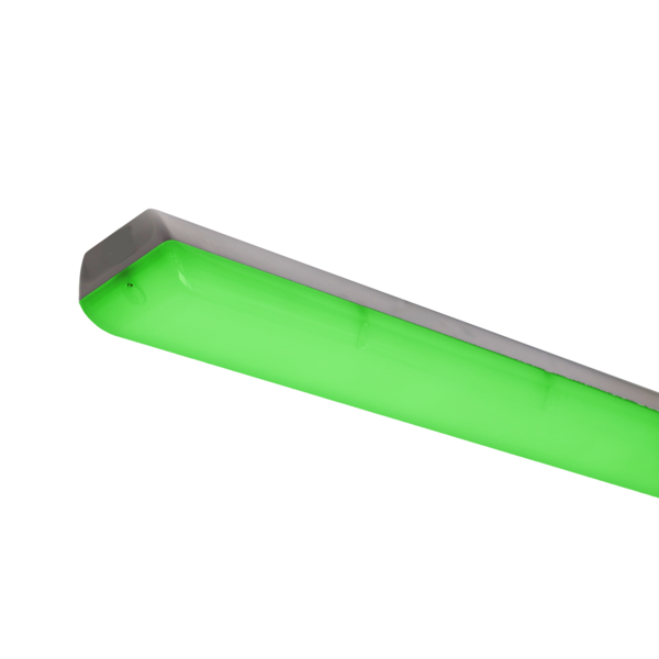 Grandlux Multi-colour