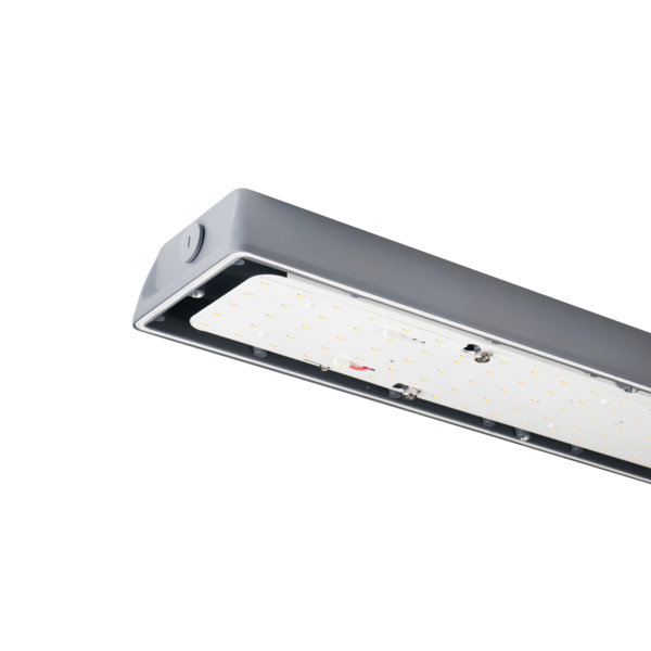 Grandlux Commercial LED vandal proof - Open View - SAL Commercial