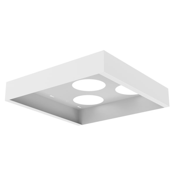 Platinum Surface Mount Frame