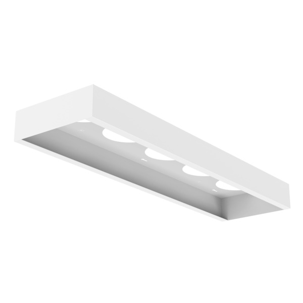 Platinum Surface Mount Frame